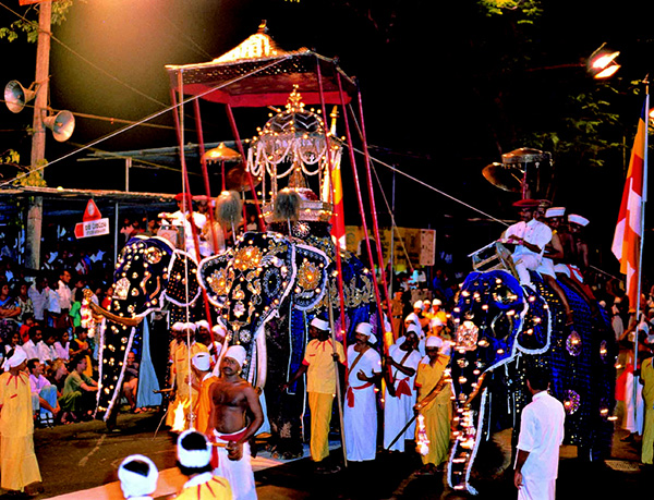 tdslanka